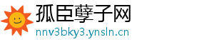 孤臣孽子网